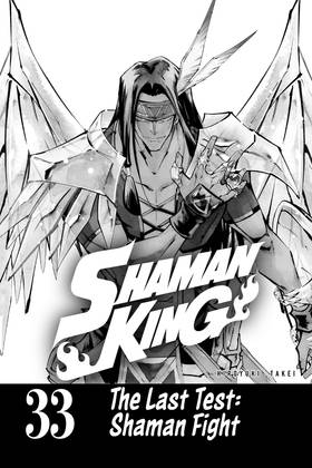 Read SHAMAN KING  33 Page 3 in English