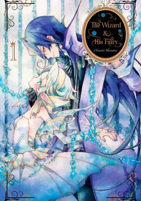 The Wizard and His Fairy: The Wizard and His Fairy 1