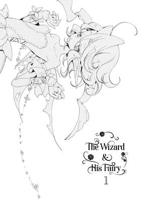 Read The Wizard and His Fairy  1 Page 3 in English