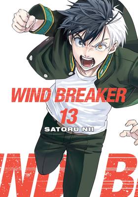 Read WIND BREAKER  13 Page 1 in English