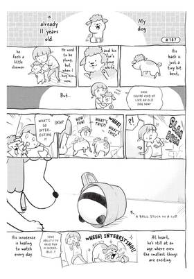 Read With a Dog AND a Cat, Every Day is Fun  7 Page 7 in English