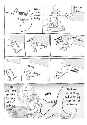 Read With a Dog AND a Cat, Every Day is Fun  7 Page 10 in English