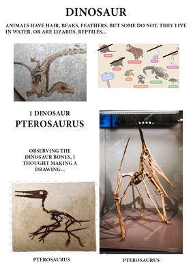 Read DINOSAURS -STUDY  1 Page 5 in English