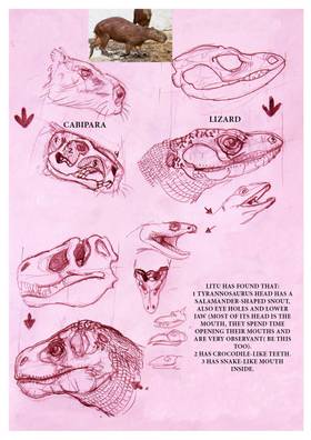 Read DINOSAURS -STUDY  1 Page 9 in English