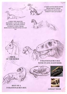 Read DINOSAURS -STUDY  1 Page 10 in English