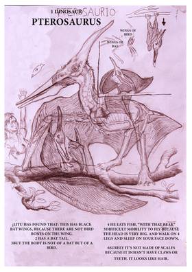 Read DINOSAURS -STUDY  1 Page 6 in English