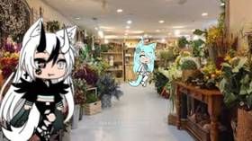 Read The flower shop   1 Page 7 in English