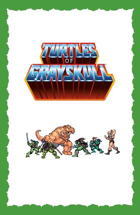 Read Masters of the Universe/TMNT Crossover  1 Page 3 in English