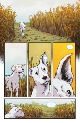 Read Krypto: The Last Dog of Krypton (2025-)  5 Page 3 in English