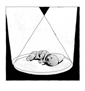 Read Circus  7 Page 10 in English