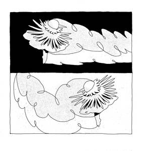 Read Circus  2 Page 6 in English