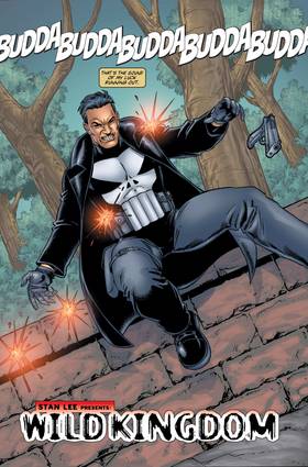 Read Punisher (2000)  4 Page 3 in English
