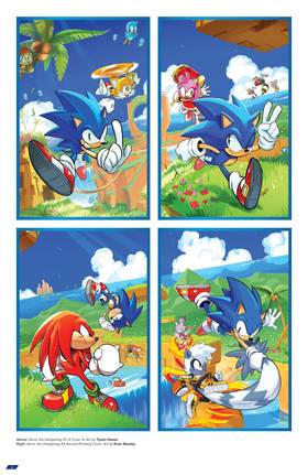 Read Sonic the Hedgehog: The IDW Comic Covers  1 Page 5 in English