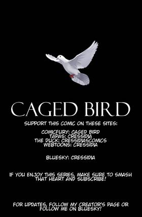 Read Caged Bird  1 Page 3 in English