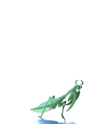 Read Mayfly Terrarium  11 Page 2 in English