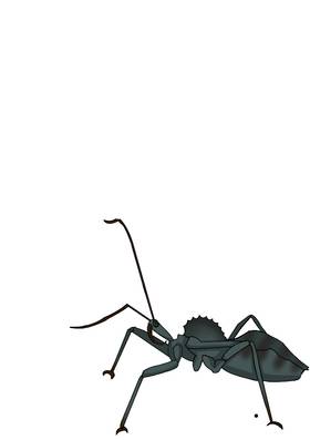 Read Mayfly Terrarium  18 Page 2 in English