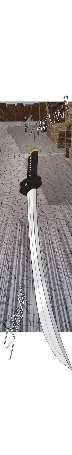 Read Zenith to Infinity  55 Page 5 in English