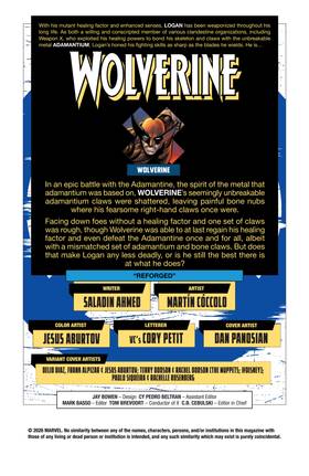Read Wolverine (2024)  28 Page 2 in English