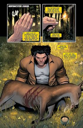 Read Wolverine (2024)  14 Page 3 in English