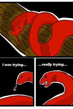 Read sea-colored dress  17 Page 7 in English