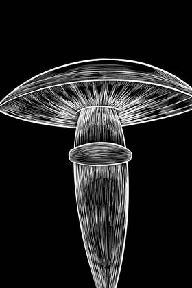 Read Alvearium Manga  2 Page 3 in English