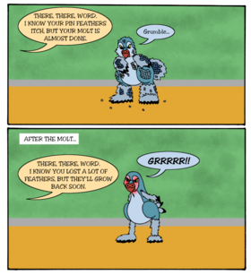 Read Word is the Bird  1 Page 4 in English