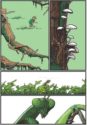 Read A Walk in the Woods  1 Page 4 in English