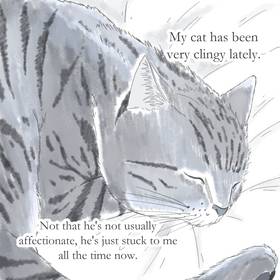 Read The Small World Of Pets  1 Page 1 in English