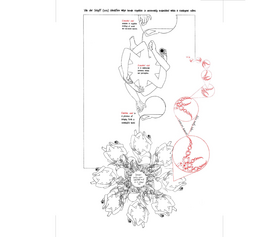 Read Meta-cognitions.  1 Page 3 in English