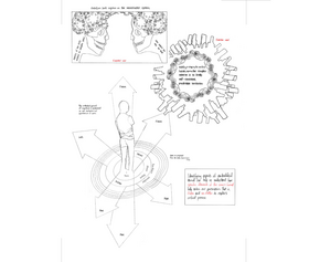 Read Meta-cognitions.  1 Page 4 in English