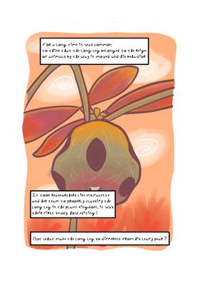 Read AFCERN'S WILDLIFE  1 Page 4 in English
