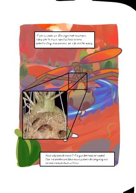 Read AFCERN'S WILDLIFE  1 Page 6 in English