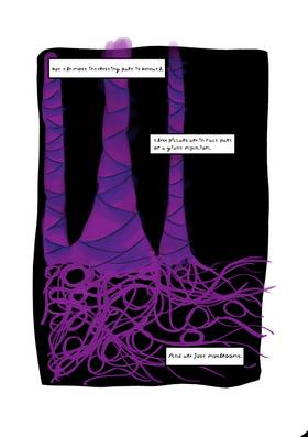 Read AFCERN'S WILDLIFE  2 Page 3 in English