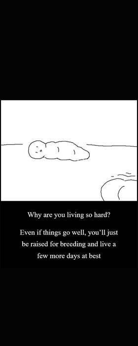 Read GOGOTOHEL!  9 Page 5 in English