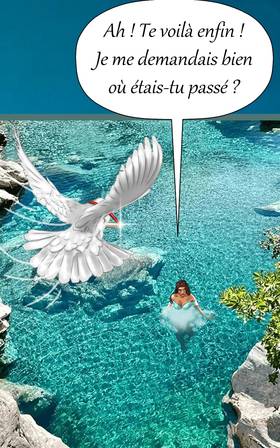 Read HIKMA  3 Page 8 in French
