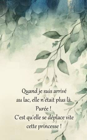 Read HIKMA  8 Page 2 in French