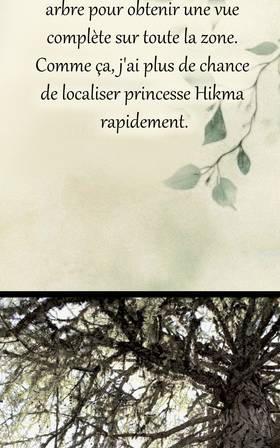 Read HIKMA  8 Page 6 in French