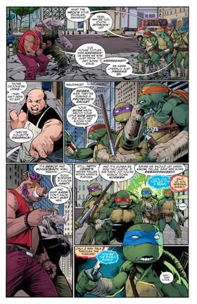 Read Teenage Mutant Ninja Turtles: Battle Nexus  1 Page 9 in English
