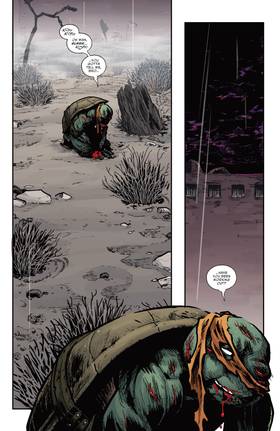 Read Teenage Mutant Ninja Turtles: Battle Nexus  5 Page 3 in English
