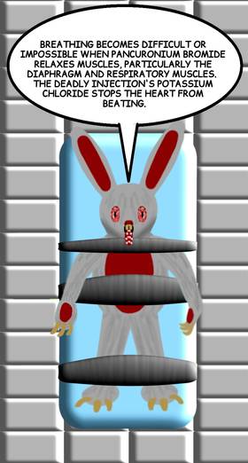 Read RAGING ROUGH RABBIT INSIGHTS   28 Page 8 in English