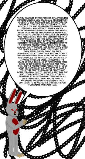 Read RAGING ROUGH RABBIT INSIGHTS   35 Page 2 in English