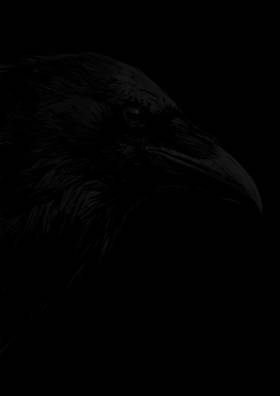 Read SHADOW OF THE RAVEN  1 Page 1 in Slovak