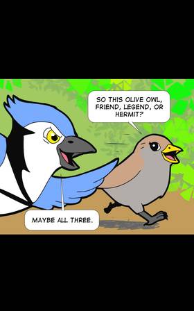 Read The Adventures of Jay  33 Page 3 in English