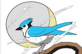 Read The Adventures of Jay  1 Page 1 in English