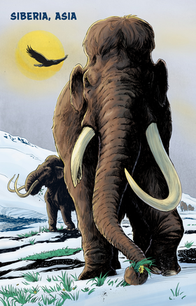 Read The First Americans  1 Page 7 in English