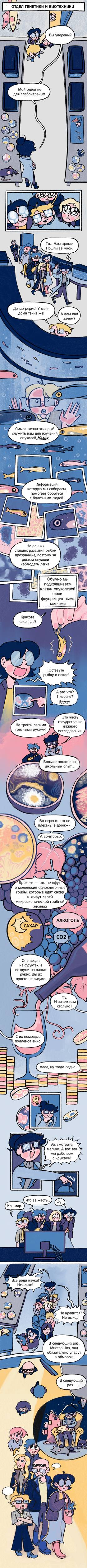Read НИЦ Курчатовский Институт: Туда и Обратно  1 Page 2 in Russian