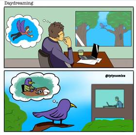 Read tyty Dailys  37 Page 1 in English