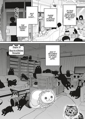 Read Cat Companions Maruru and Hachi  6 Page 7 in English