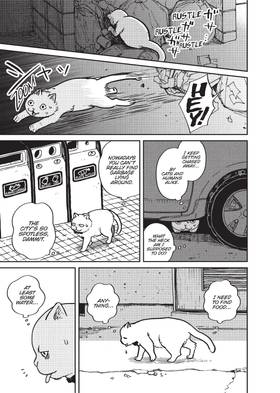 Read Cat Companions Maruru and Hachi  1 Page 9 in English