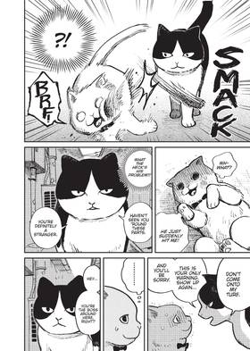 Read Cat Companions Maruru and Hachi  1 Page 6 in English